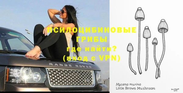 MDMA Premium VHQ Алексеевка