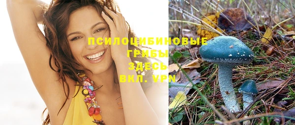 прущая мука Покров