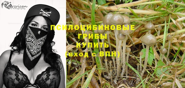 молекула духа Абинск