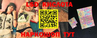 шишки Сланцы
