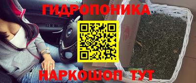 шишки Сланцы
