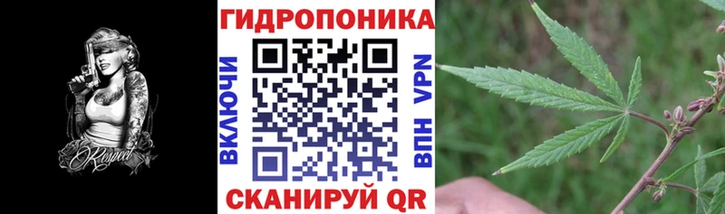 Канабис AK-47  как найти наркотики  Шебекино 